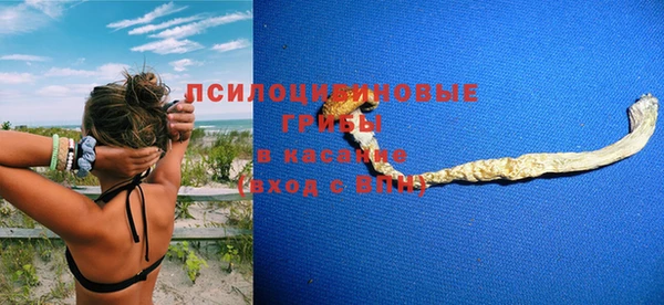 тгк Верея