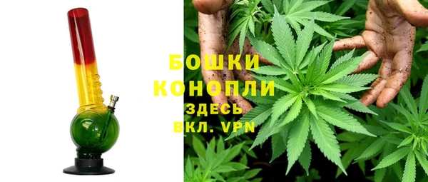 стафф Верхний Тагил