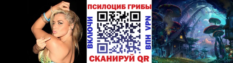 Галлюциногенные грибы мицелий  Купить закладки  Асбест 